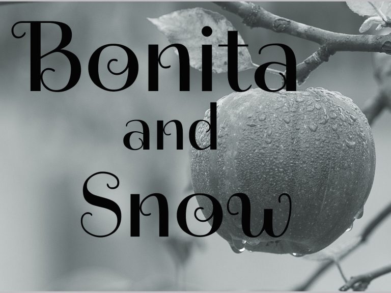 Short Story - Bonita and Snow